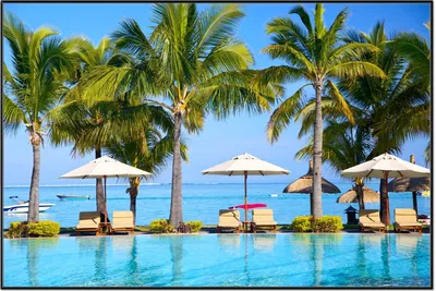 Produktbild von Wallario Wandbild Sonnenschirme am Südsee-Palmenstrand mit blauem Meer-Wasser, Größe: 61 x 91,50 cm, Poster mit schwarzem Aluminiumrahmen