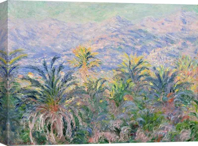 Produktbild von Kunstdruck auf Leinwand - Claude Monet, Palmen in Bordighera – 70x50 cm
