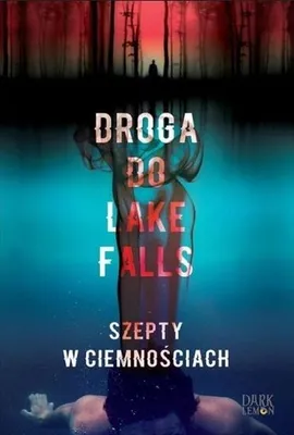 Image de Droga do Lake Falls