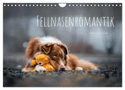 Produktbild von Fellnasenromantik (Wandkalender 2027 DIN A4 quer), CALVENDO Monatskalender