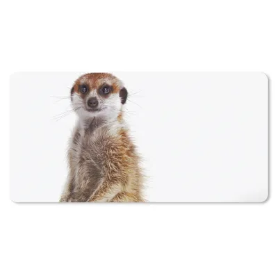 Produktbild von MuchoWow® Mauspad Mousepad Erdmännchen - Tiere - Fell 60x30 cm - Mousepads - Maus Mat - Pad - Mausunterlage - Nachhaltig