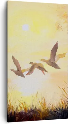 Produktbild von Bild auf Leinwand - Leinwandbild - Vogel Natur Wasser - 45x80cm - Wand Bild - Wanddeko - Wandbilder - Leinwanddruck - Bilder - Kunstdruck - Wanddekoration - Leinwand bilder - Wandkunst - PA45x80-3686