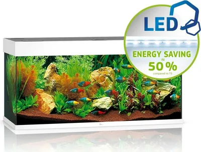 Produktbild von Juwel Rio 180 LED weiß - Aquarium Juwel