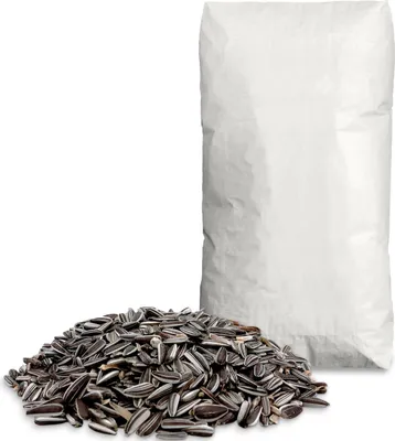 Produktbild von Supravit Sonnenblumenkerne gestreift 25 kg | Premium Vogelfutter für Gartenvögel | energiereiches Wildvogelfutter für Ganzjahresfütterung