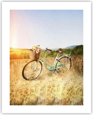 Produktbild von Poster - Poster ohne Rahmen - Fahrrad Wiese Blumen - 40x50 cm - Wand Bild - Wanddeko - Wandbilder - Kunstposter - Wandposter - Bilder - Kunstdruck - Wanddekoration - Wandbild - P2XPA40x50-4206