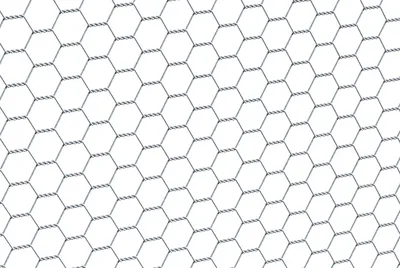 Image de Alberts 614140 Treillis hexagonal, galvanisé, mailles 25 x 25 mm, hauteur 50 cm, longueur 10 m
