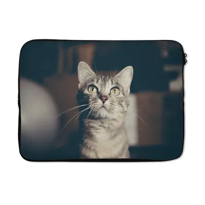 Produktbild von MuchoWow® Laptop Hülle 14 ZollKatze - Tiere - Porträt Laptoptasche - Laptoptasche - Stoßsicher - Schutzhaube