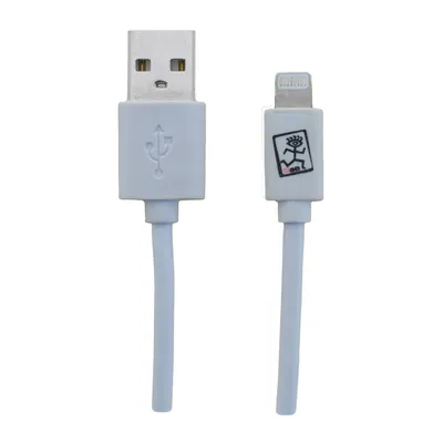 Image de 2GO USB Lade-/Datenkabel Lightning 1m weiß in PET-Box