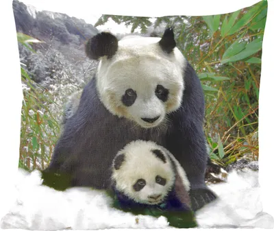 Produktbild von MuchoWow® Zierkissen Sofakissen Wohnzimmer Dekokissen 45x45 cm Panda - Jungtier - Schnee - Schlafpolster - Polster für das Sofa