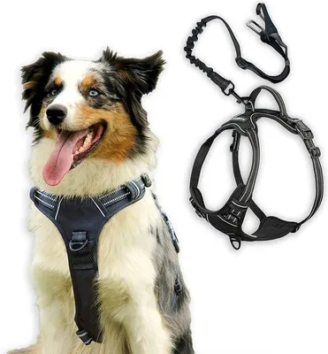 Produktbild von Famanu Hundegeschirr mit Anti-Zug-Funktion - Größe L, reflektierend, verstellbar, atmungsaktiv