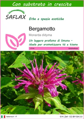 Immagine prodotto di SAFLAX  - Bergamotto - 20 semi - Con substrato - Monarda