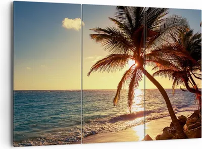 Produktbild von Bild auf Leinwand - Leinwandbild - Wolke exotischer Palm- Landschaft - 165x110cm - Wand Bild - Wanddeko - Leinwanddruck - Bilder - Kunstdruck - Leinwand bilder - Wandkunst - CE165x110-3180