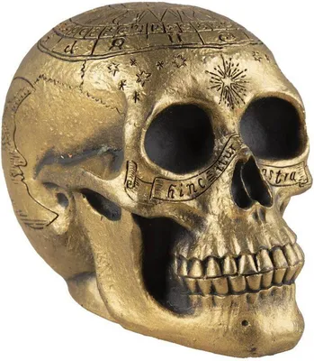Image de Crâne avec pentagramme doré - taille unique