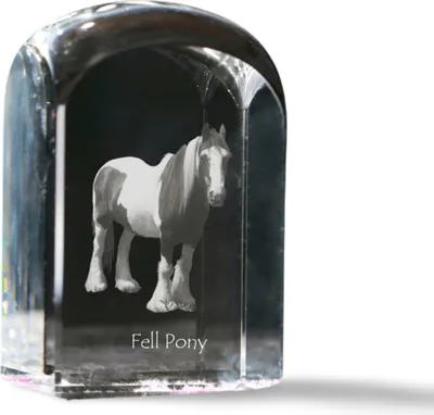 Produktbild von Fellpony Kristallstempel mit Pferd Art-Dog