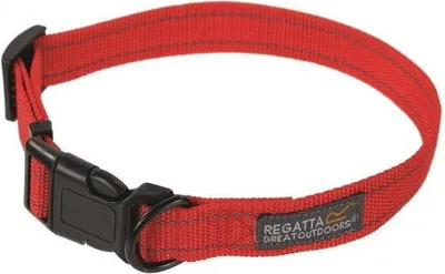 Obrázek produktu pro Obojek pro psy Regatta Comfort RG3386 (45-70cm) (červený)