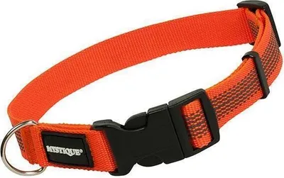 Produktbild von Mystique Gummiertes Halsband 55-65cm 25mm orange