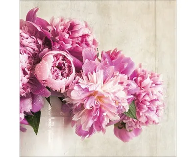 Produktbild von Glasbild Sweet Peony III 50x50 cm