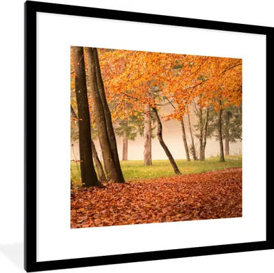 Produktbild von MuchoWow® Gerahmtes Poster Blätter - Herbst - Wald 40x40 cm - Poster mit Schwarzem Bilderrahmen Wandposter Rahmen Foto Bilder - Poster - Plakat im Rahmen