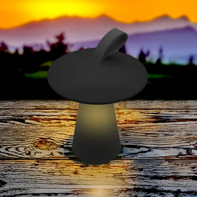 Produktbild von 1.03 LED Tischleuchte PILZ warmweiß mit 3 Funktionen - ca. 17 cm - USB Tisch Lampe zum stellen oder hängen - Farbe: schwarz