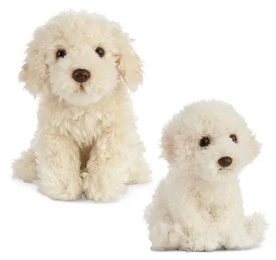 Image de Living Nature Labradoodle, Pejskek