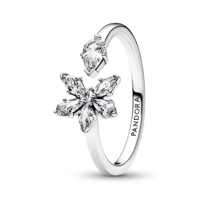 Produktbild von Offener Damenring Herbarium Cluster aus Sterlingsilber von PANDORA
