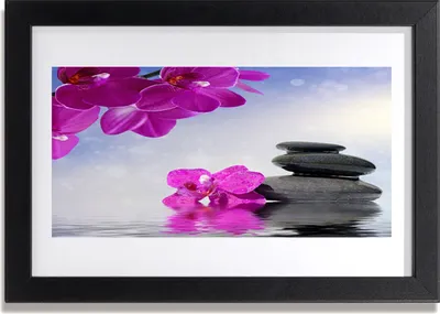 Produktbild von Bild 30x20 MDF-Rahmen Wandkunst Orchideen-Blumen-Pflanze