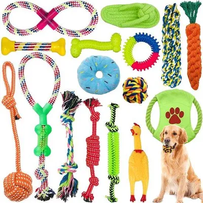 Image de Lot de jouets pour chiens