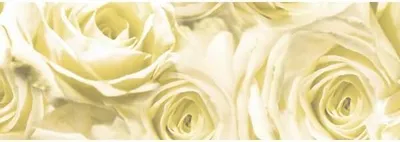 Produktbild von Transparentpapier 115g/qm A4 VE=25 Blatt Rosen champagner