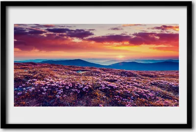 Produktbild von Bild 60x40 MDF-Rahmen Wandkunst Wiese Berg Natur Blumen