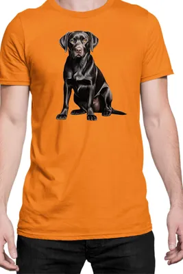 Produktbild von Herren T-Shirt Dogs Breeds Labrador Retriever Dog Breed 006, Man XL / Orange