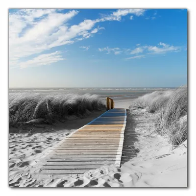 Produktbild von Wallario selbstklebende Möbelfolie/ Tischdecke für Innen und Außen, Größe: 50 x 50 cm - Auf dem Holzweg zum Strand in schwarz-weiß Optik
