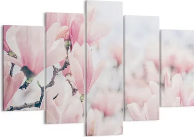 Produktbild von Bild auf Leinwand - Leinwandbild - 5 Teile - Magnolie Blumen Rosa - 150x100cm - Wand Bild - Wanddeko - Wandbilder - Leinwanddruck - Bilder - Wanddekoration - Leinwand bilder - EA150x100-4396