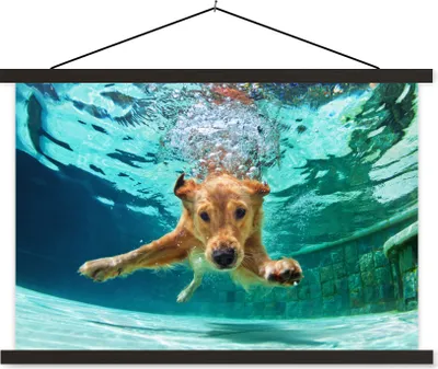 Produktbild von MuchoWow® Textilposter Pool - Hund - Wasser 90x60 cm mit schwarzem Rahmen - Aufhängungssatz