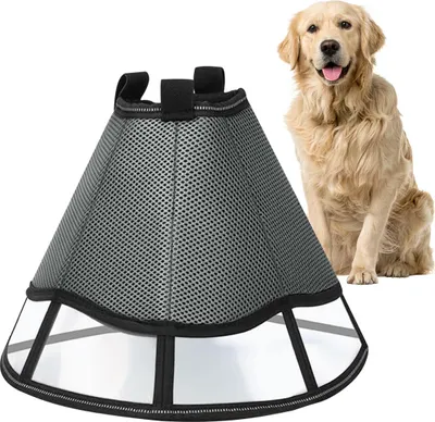 Produktbild von Hundekragen leckschutz,Schutzkragen hund,Größe XL, geeignet zum postoperativen Schutz von Hunden