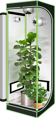 Produktbild von Bettizia Growzelt Growbox 60x60x180 cm Zuchtzelt Indoor-Gewächshaus Zuchtschrank Anzucht Pflanzen Gemüse Kräuter Tomaten Cannabis