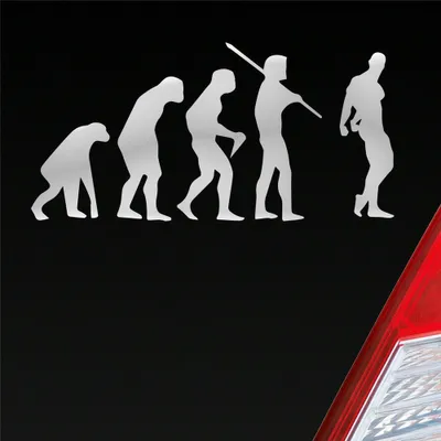 Produktbild von Auto Aufkleber Evolution Fitness Sport Bodybuilding 15x7,5 cm Silber Sticker Heckscheibenaufkleber