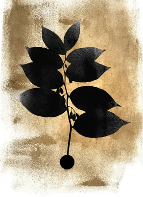 Produktbild von Tadessi Fototapete | Blumen | 2.00 m x 2.80 m | Gold | Schwarz | Wandbild | Digitaldruck
