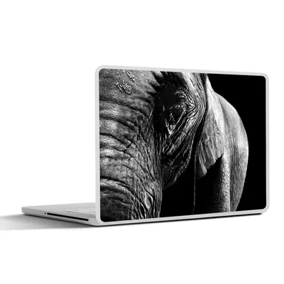 Produktbild von MuchoWow® Laptop Aufkleber Sticker Cover Nahaufnahme eines Elefanten auf einem dunklen Hintergrund - schwarz und weiß 36.5x27.5 cm - Laptop-Sticker