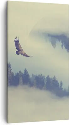 Produktbild von Bild auf Leinwand - Leinwandbild - Vogel Natur Wald - 45x80cm - Wand Bild - Wanddeko - Wandbilder - Leinwanddruck - Bilder - Kunstdruck - Wanddekoration - Leinwand bilder - Wandkunst - PA45x80-3853