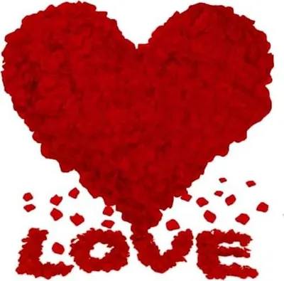 Produktbild von Künstliche Rosenblätter (4000Stück) - Streudeko, für Valentinstag & Hochzeit