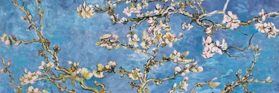 Produktbild von Vincent Van Gogh Kunstdruck Bild - Blühende Mandelbaumzweige, 1890 (53 x 158 cm)