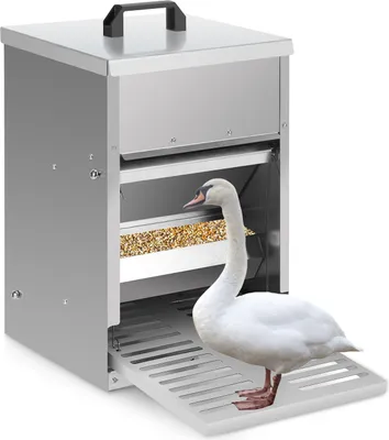 Immagine prodotto di Mangiatoia per polli Clanmacy 4x con sportello a gradini - Mangiatoia automatica per polli, oche e anatre, capacità 5KG, impermeabile e antiratto