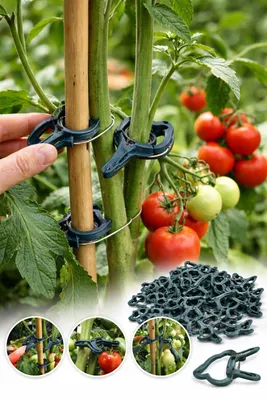 Produktbild von Pflanzen Clips Set Rankhilfe Tomatenhalter wiederverwendbar Garten Pflanzenstütze Pflanzenbinder 20St., H0811