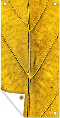 Produktbild von MuchoWow® 80x160 cm Outdoor-Poster Gartendeko Sichtschutz Garten Poster für den Garten  Blätter - Pflanzen - Gelb