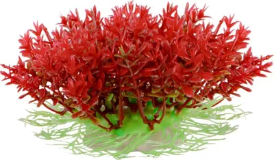 Immagine prodotto di Kruger Meier Plant Mini Flame - pianta artificiale