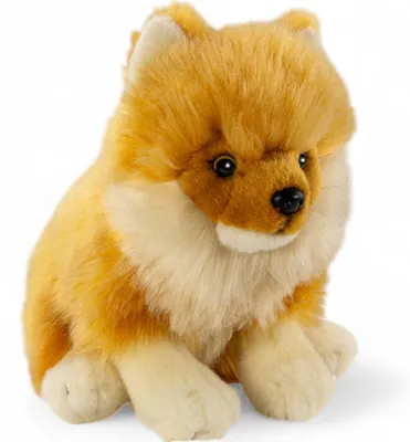 Produktbild von Carl Dick Zwergspitz, Pomeranian Hund sitzend, Hund, ca. 25cm 3557 Kuscheltier, Plüschtier, Stofftier