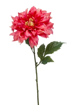 Produktbild von künstliche Dahlie mit XXL Blüte pink H. 60cm Emerald Kunstblumen