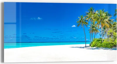 Produktbild von DEQORI Glasbild Echtglas 60x30 cm 'Palmenstrand Panorama' Wandbild Bild modern Deko