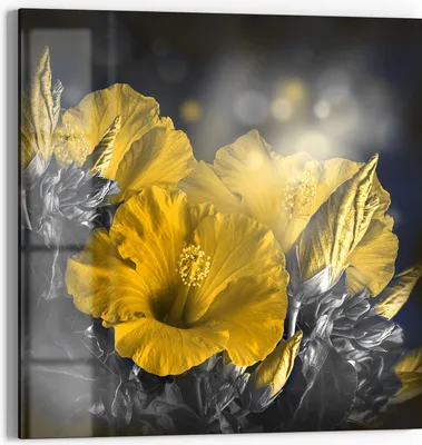 Produktbild von DEQORI Glasbild Echtglas 50x50 cm 'Blüten des Roseneibisch' Wandbild Bild modern Deko