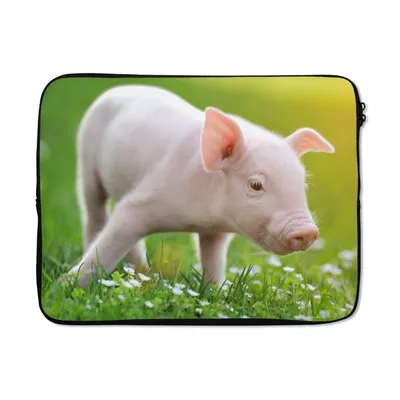Produktbild von MuchoWow® Laptop Hülle 17 Zoll Laptoptasche Tiere - Ferkel - Schwein - Zipper - Schutzabdeckung